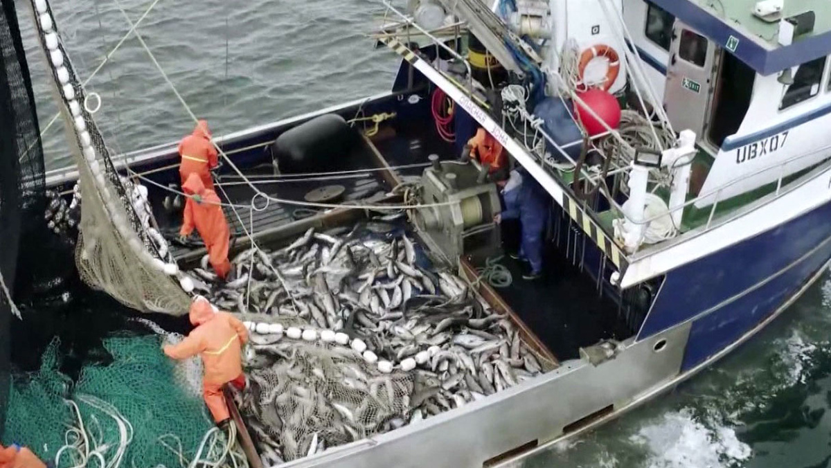    Сенаторы не поддержали введение экспортных пошлин на рыбу