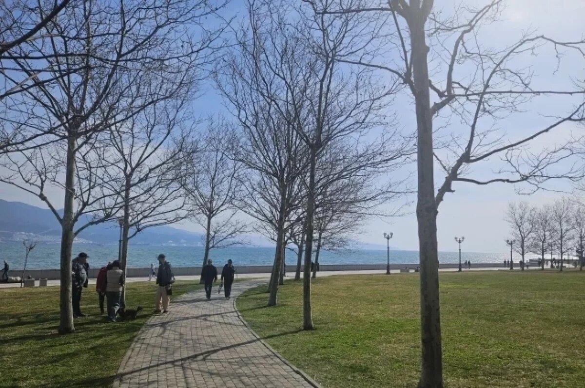    В Новороссийске объявили угрозу атаки беспилотников