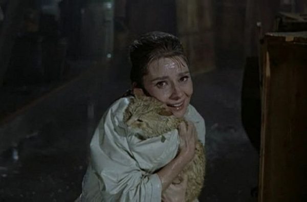 Вперёд, коты! Вспоминаем самых знаменитых представителей семейства кошачьих  📷
