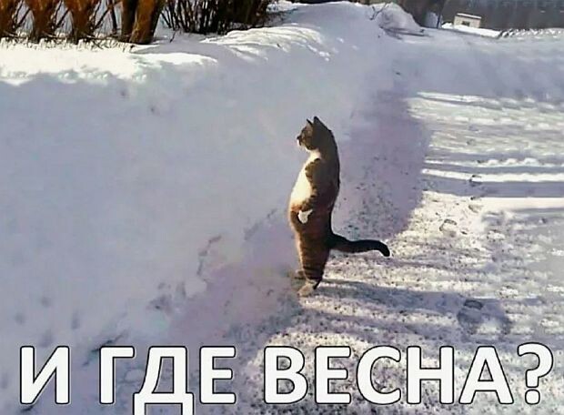 Фото с интернета 