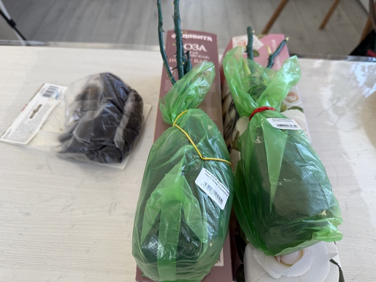 Мои новые растения