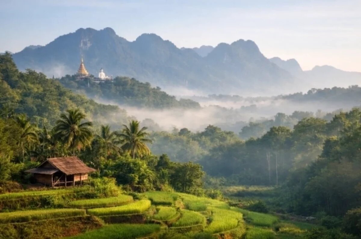 Изображение сгенерировано ChatGPT