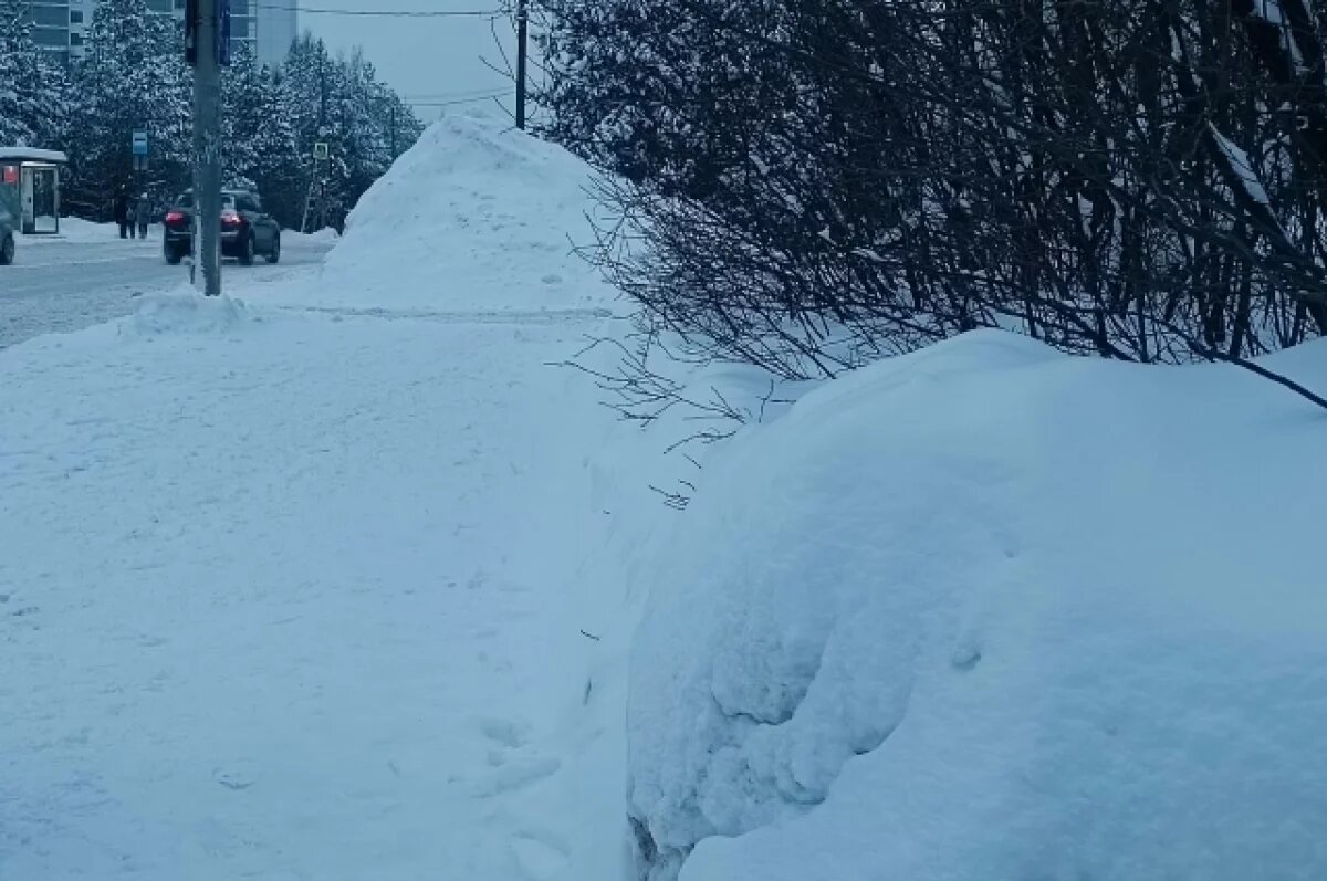    Февраль 2026 г. в Перми признан самым снежным в истории наблюдений