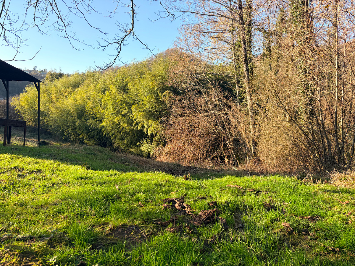 Даже в феврале у нас приятная зелень и теплее денечки