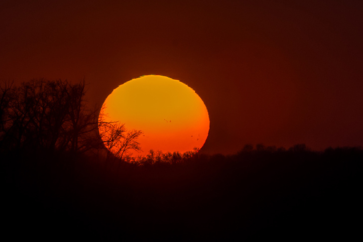    Фото Андрея Заржецкого