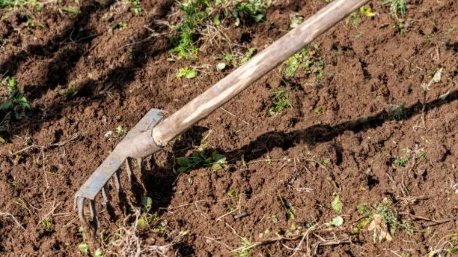 Весной начинаю формирование