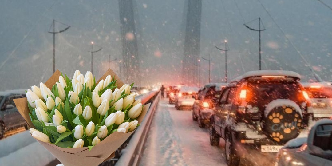 Март во Владивостоке — это не весна, а 11-й месяц зимы. И вот вам расклад на неделю