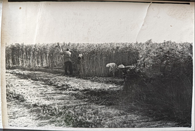 Фотграфия, с которой всё началось