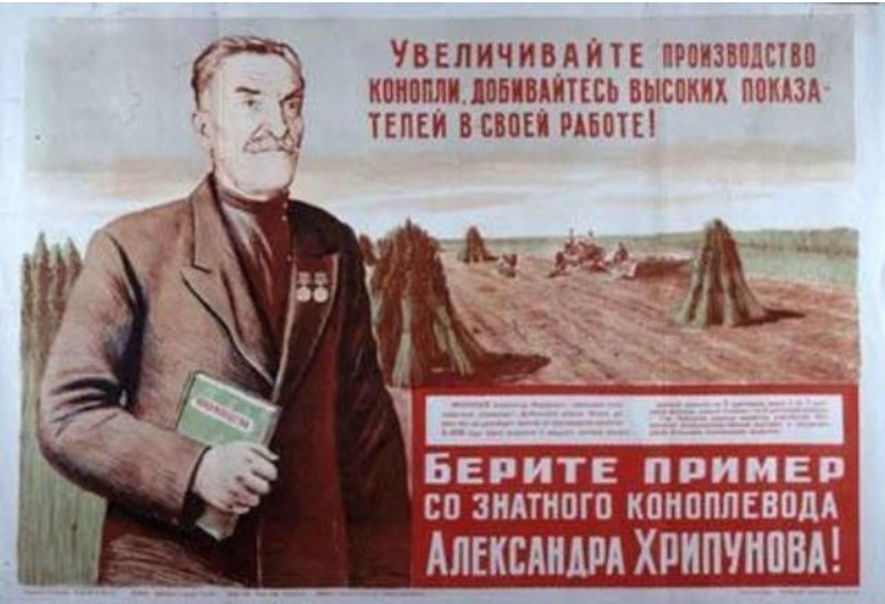 Фото из открытых источников