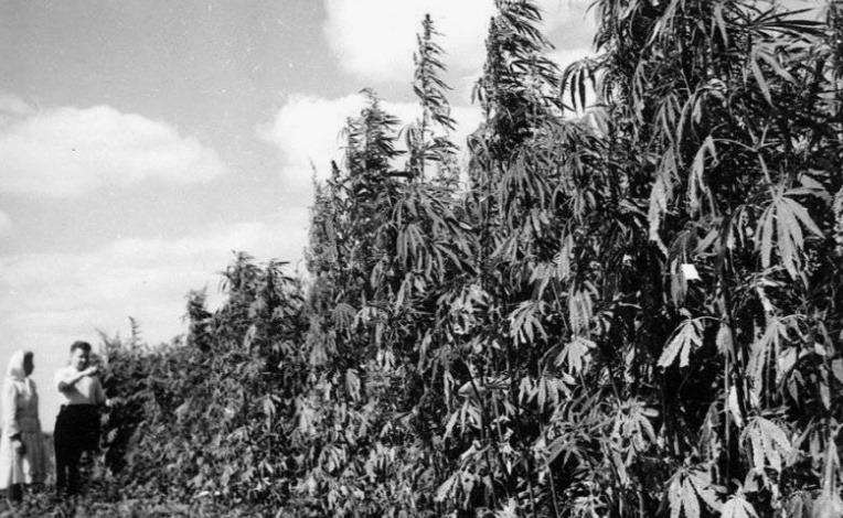 Фото из открытых источников. Листайте дальше