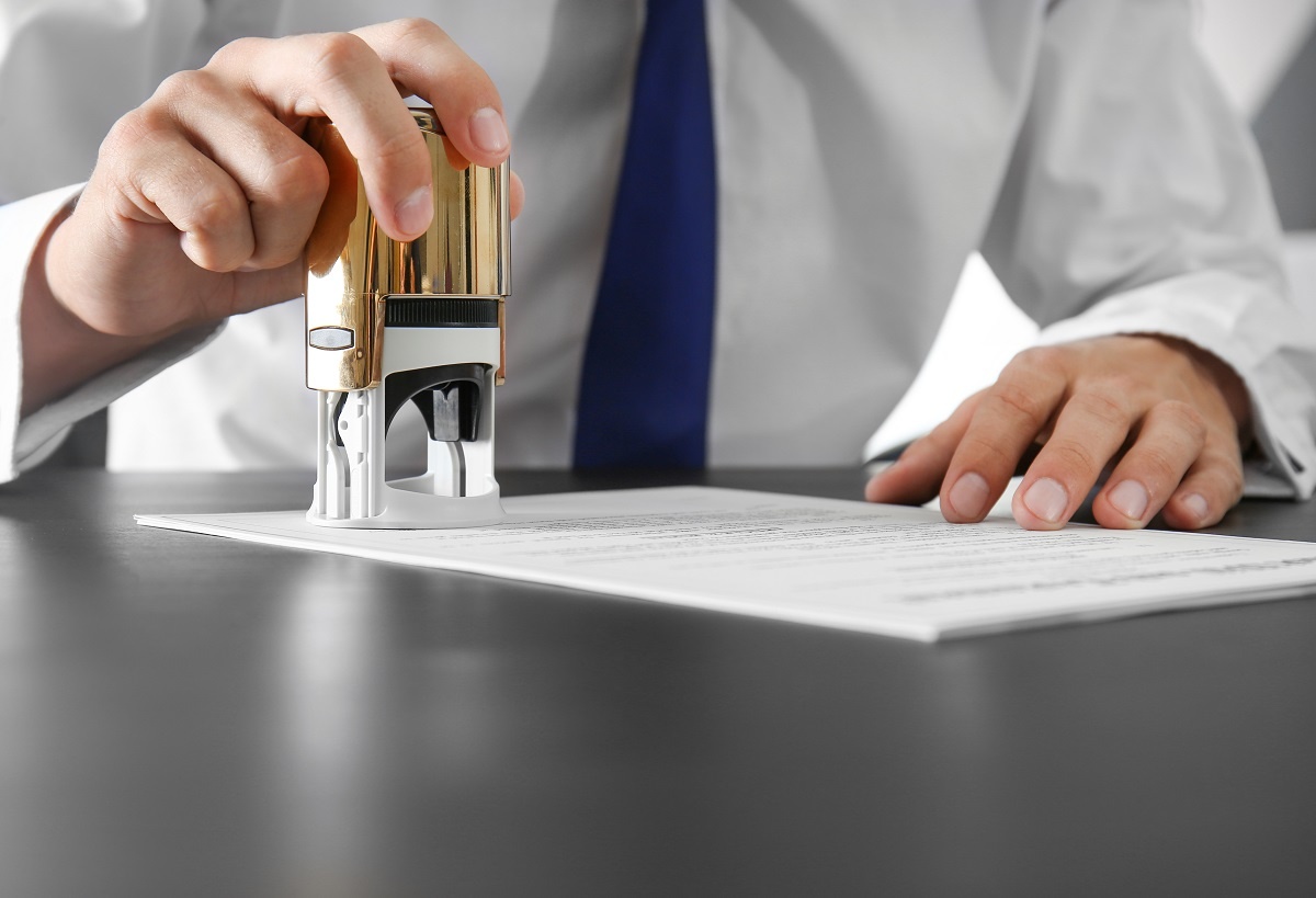 Какие законы в сфере ветеринарии вступают в силу с 1 марта 2026 года. Фото: Africa Studio / shutterstock.