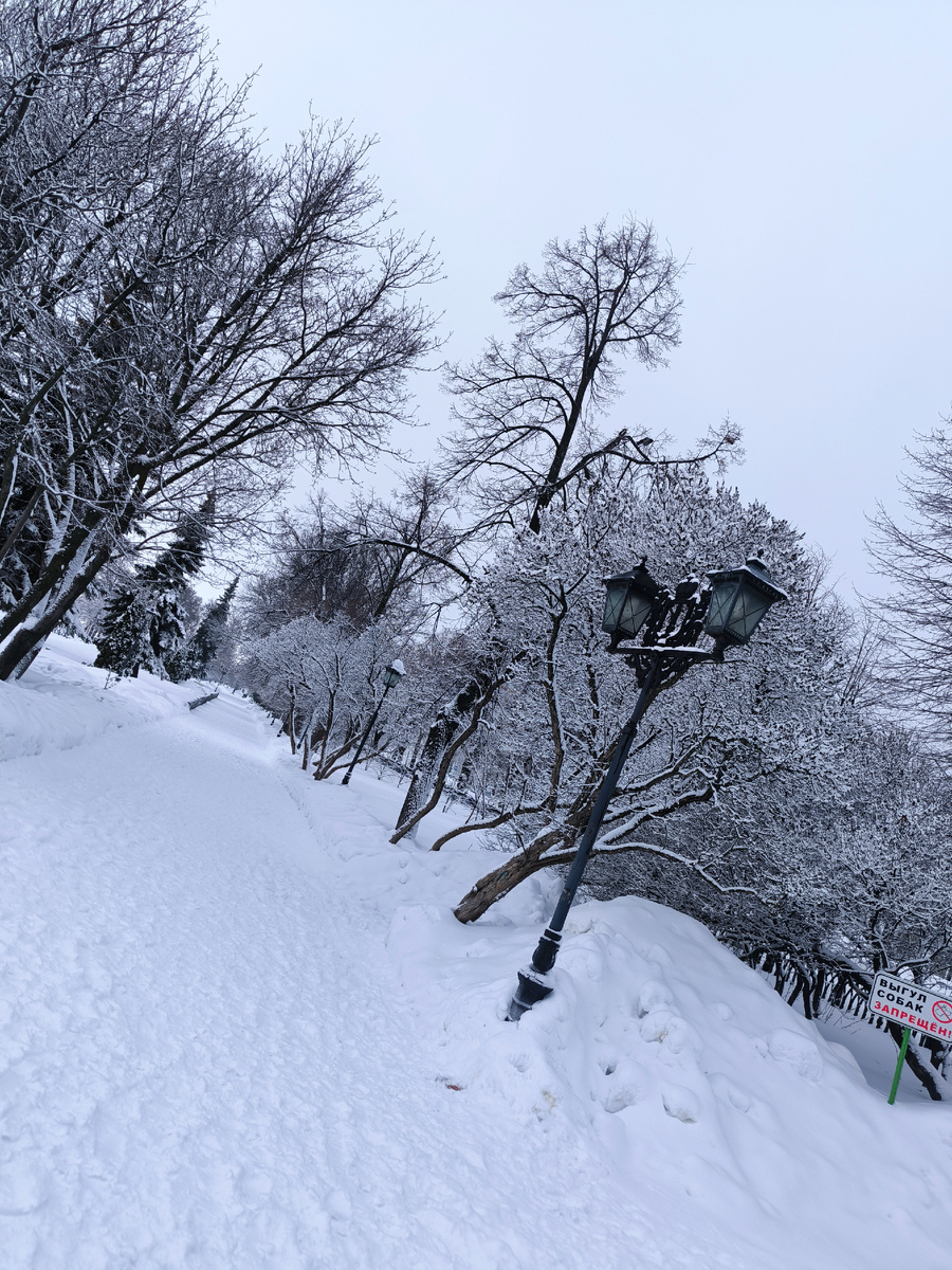 Все фотографии в статье авторские. 
