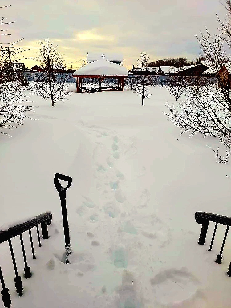 Вот так выглядят солнечные просторы в настоящий момент😃