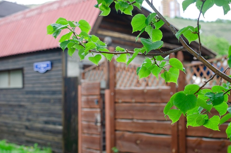   ИВАНОВА Диана