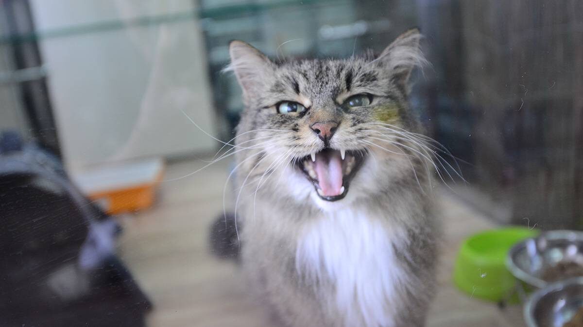    Фото: Вечерняя Москва