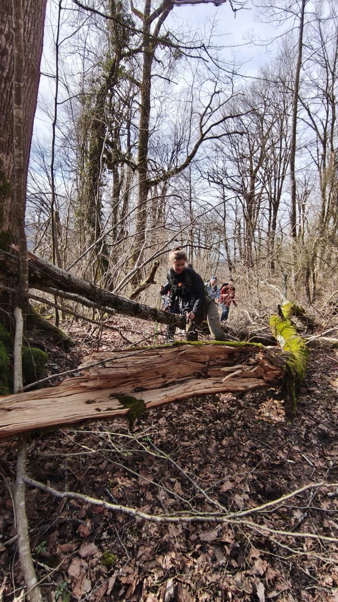 Естественные препятствия - он же лесной фитнес