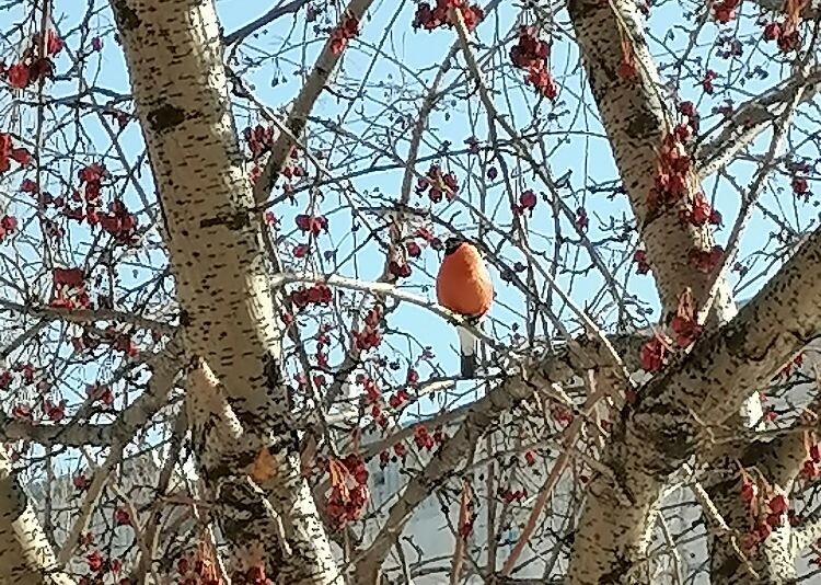 И все-таки есть поводы радоваться жизни