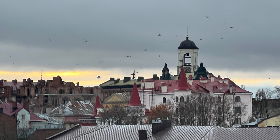 Выборг: остатки скандинавской архитектуры и большой выбор финских товаров