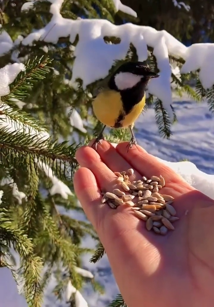 В Сибири первый день весны такой. 