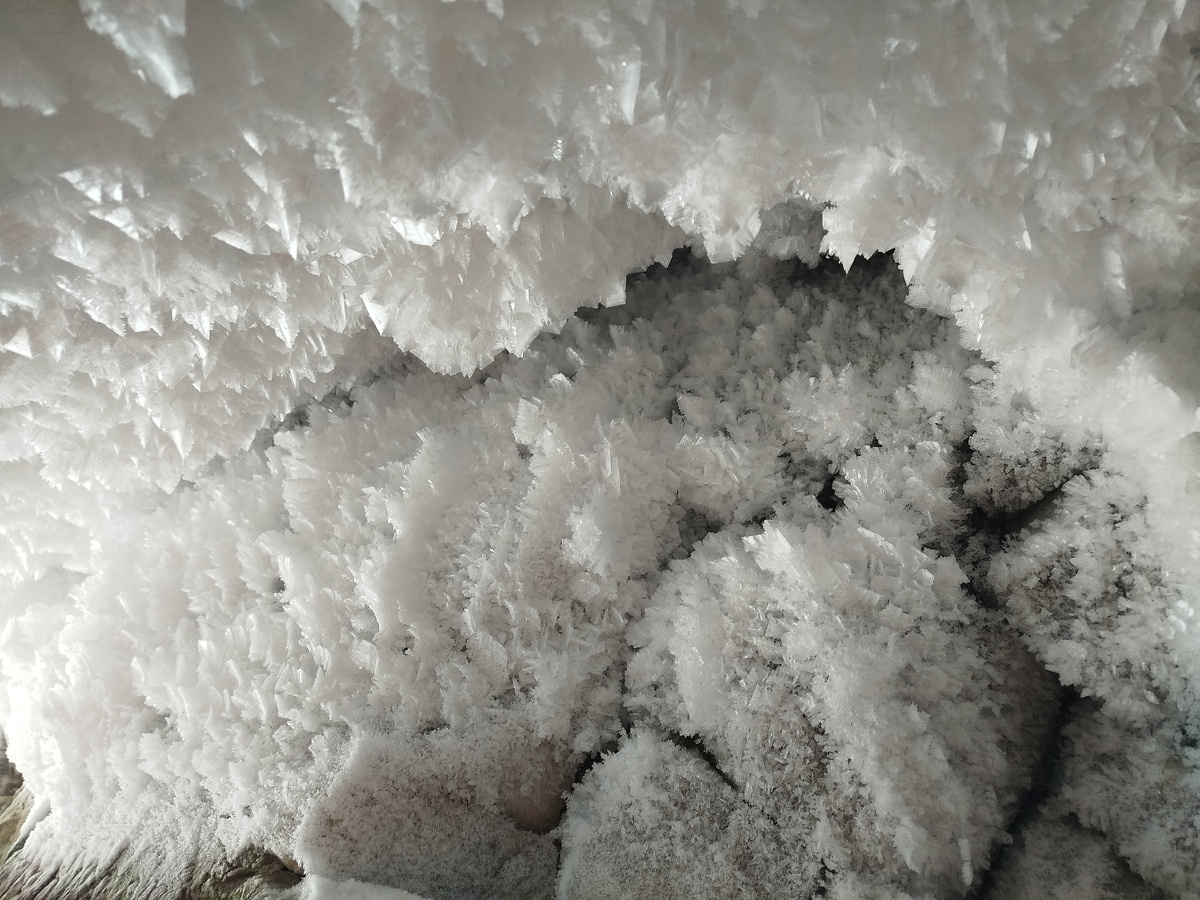 Ледяные кристаллы