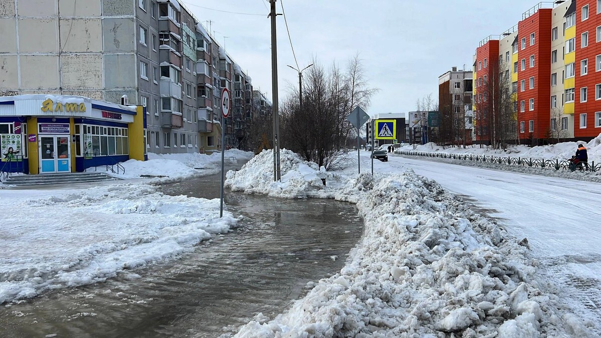    Фото: Ярослав Кудренок/«Ямал-Медиа»