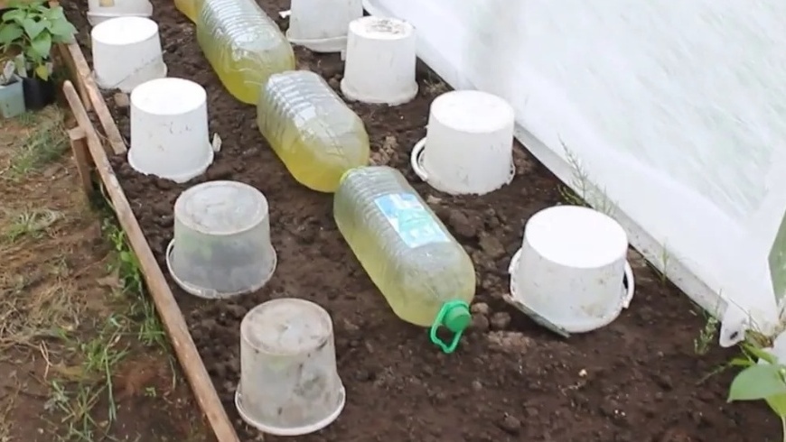 Ставлю в теплицу 5 бутылок с водой для защиты рассады томатов. Электричества нет, а мороз -2°C