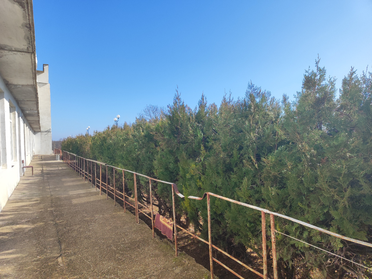 возле инфекционного отделения