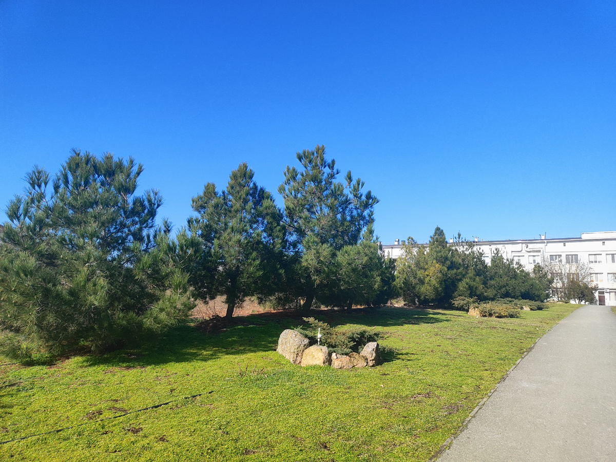 территория больницы