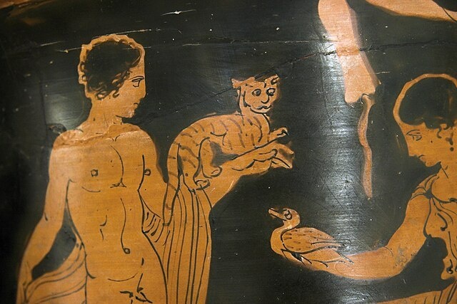 Кошки в Древней Греции и Риме