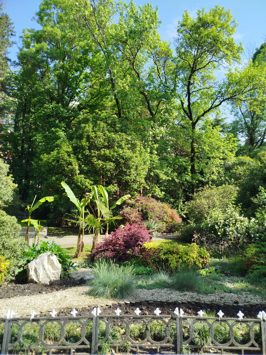 Фото автора.