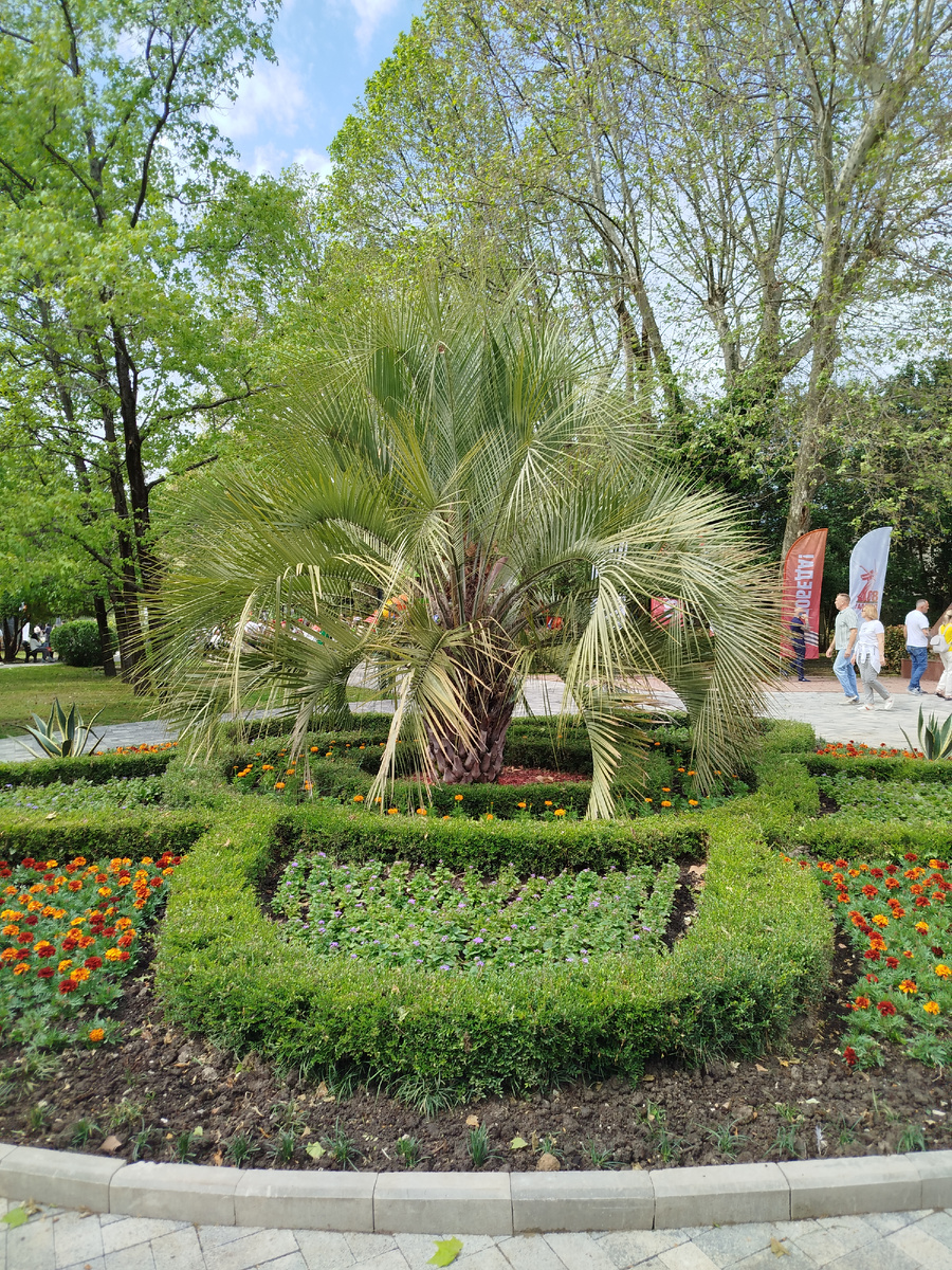 Фото автора.