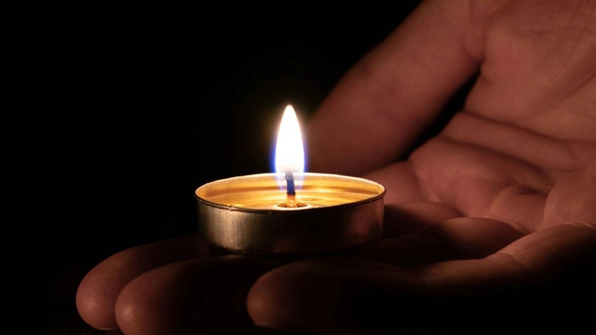    Фото: Dmitriy Yermishin/Shutterstock/Fotodom