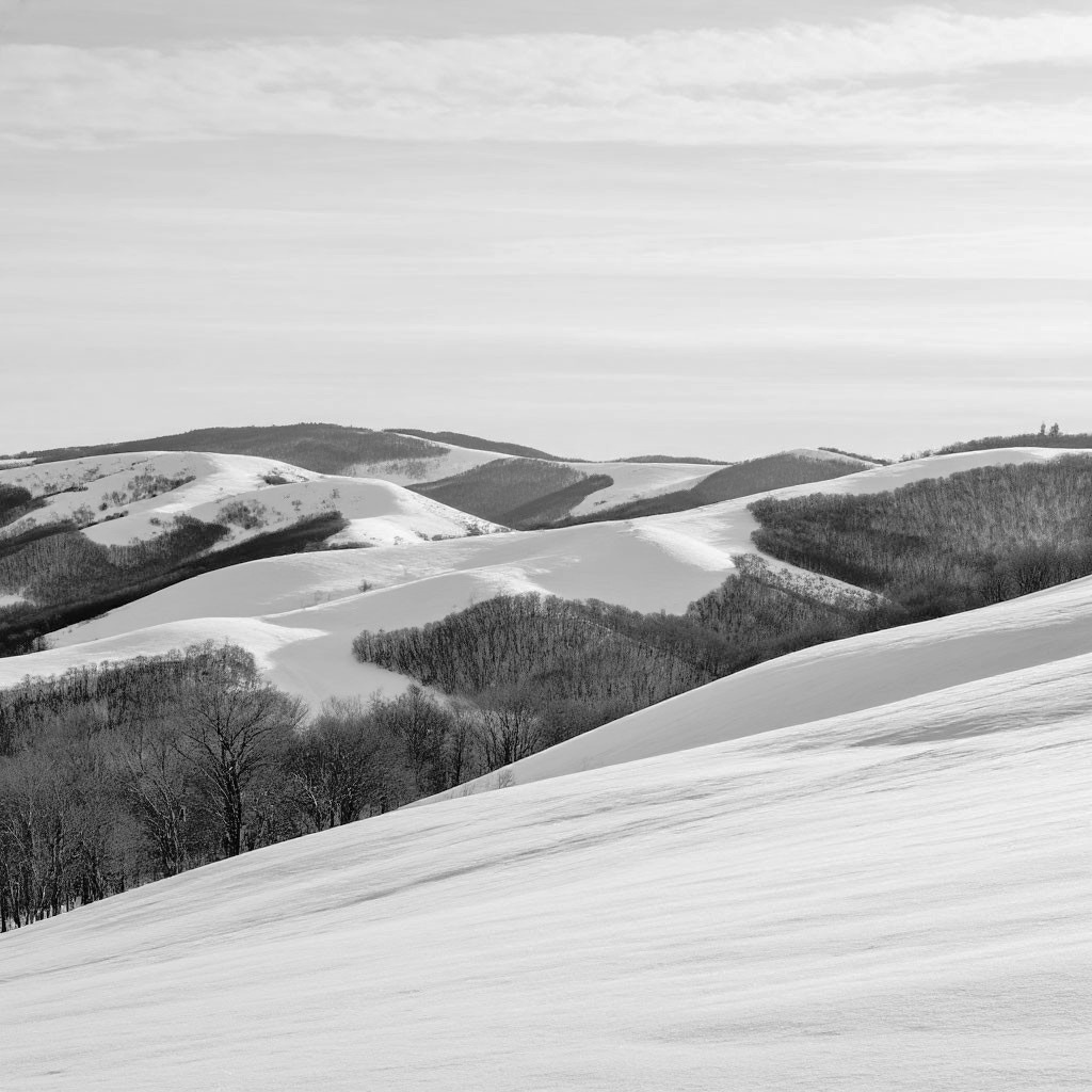 Изображение создано ИИ