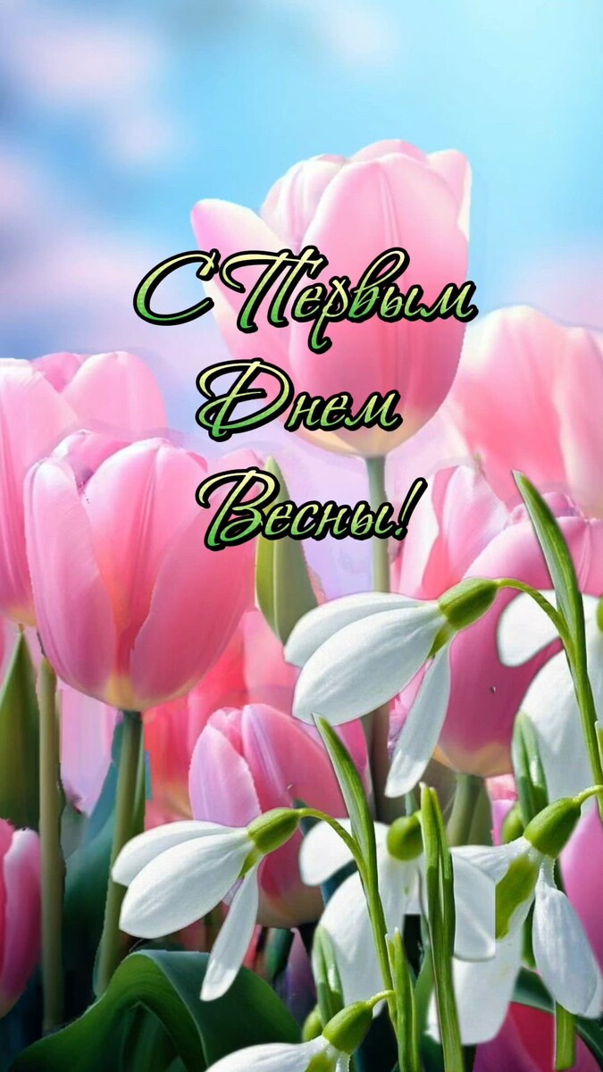 Фото взято из открытого доступа.