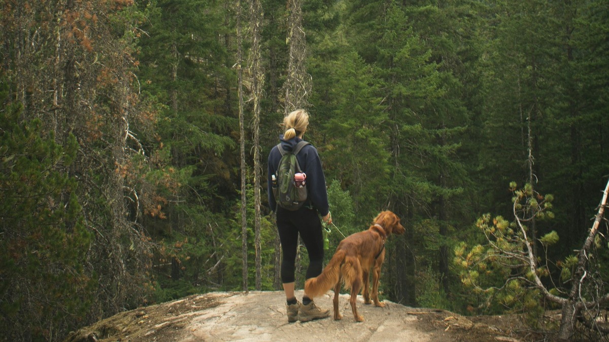    С приходом теплой погоды важно вспомнить правила для выезда на природу с вашим питомцем