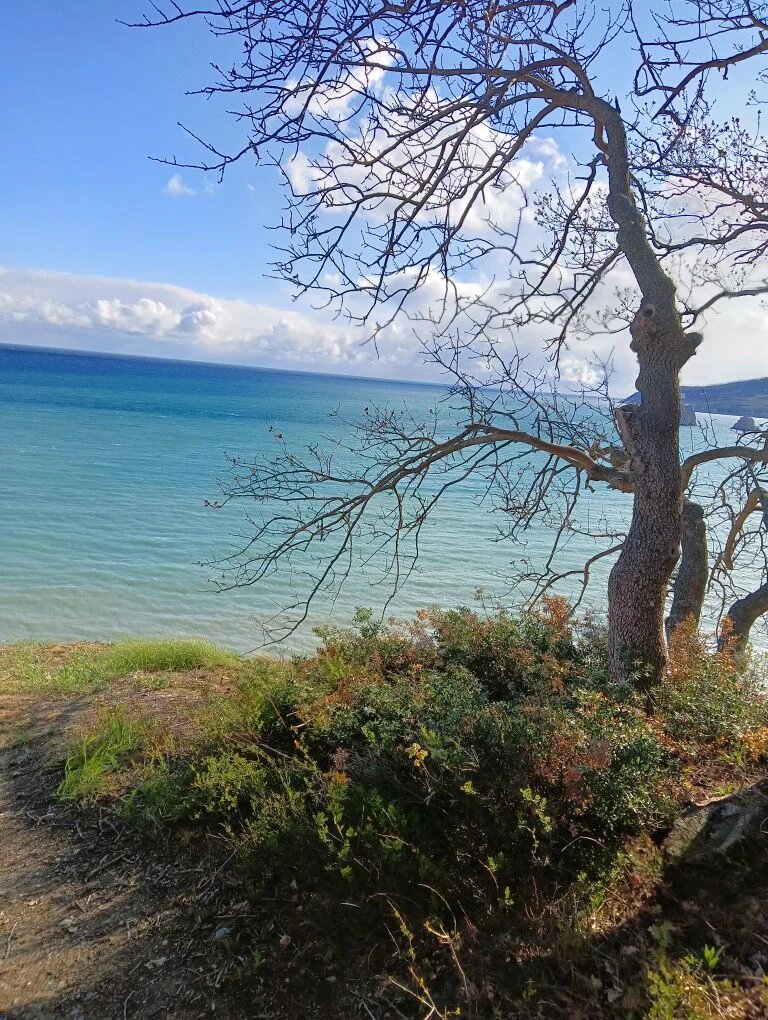 Побережье Чёрного моря в окрестностях Крыма. Авторское фото