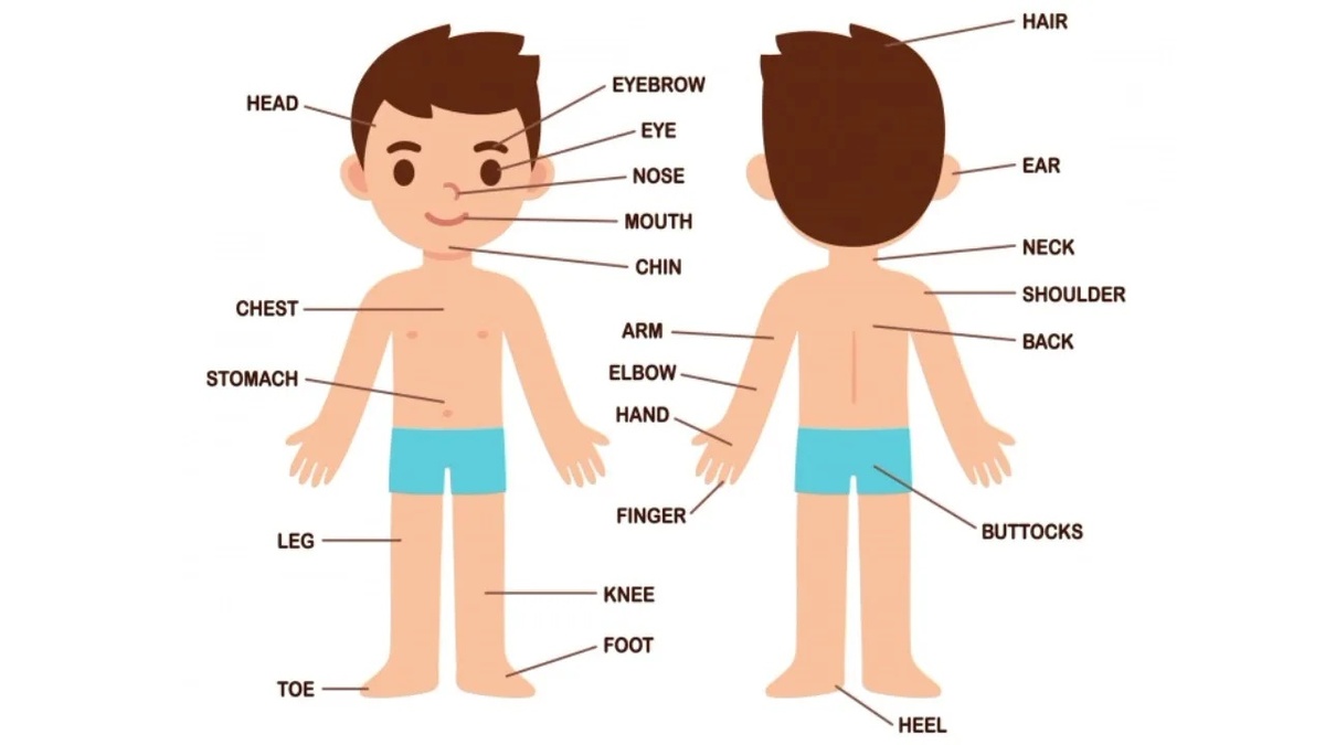 #Enlish_kids_poems #Английские_детские_стихи #Head_shoulders_knees_and_toes #Голова_плечи_колени_и_пальцы_на_ногах