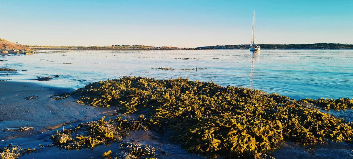 Острова Чупинской губы Белого моря