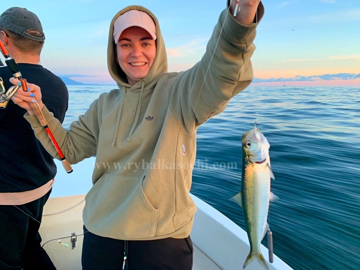 Черноморско-азовская морская сельдь