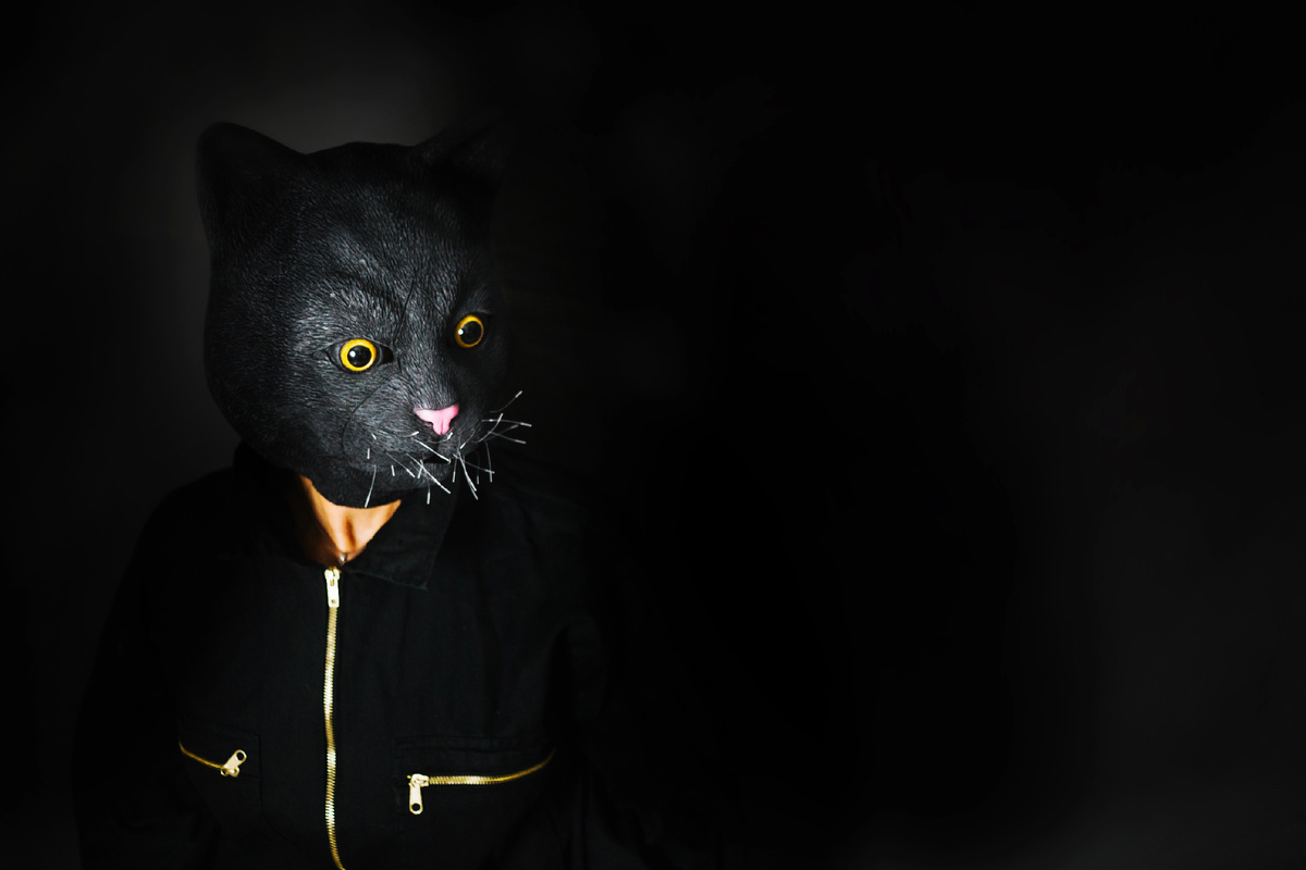 Источник фото: www.Freepik.com