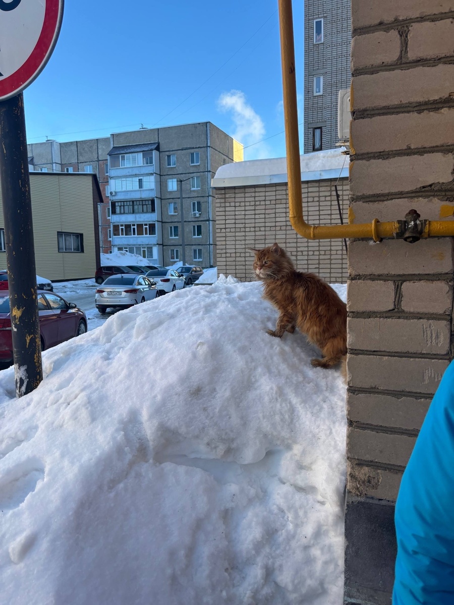 Ну разве не хорош?