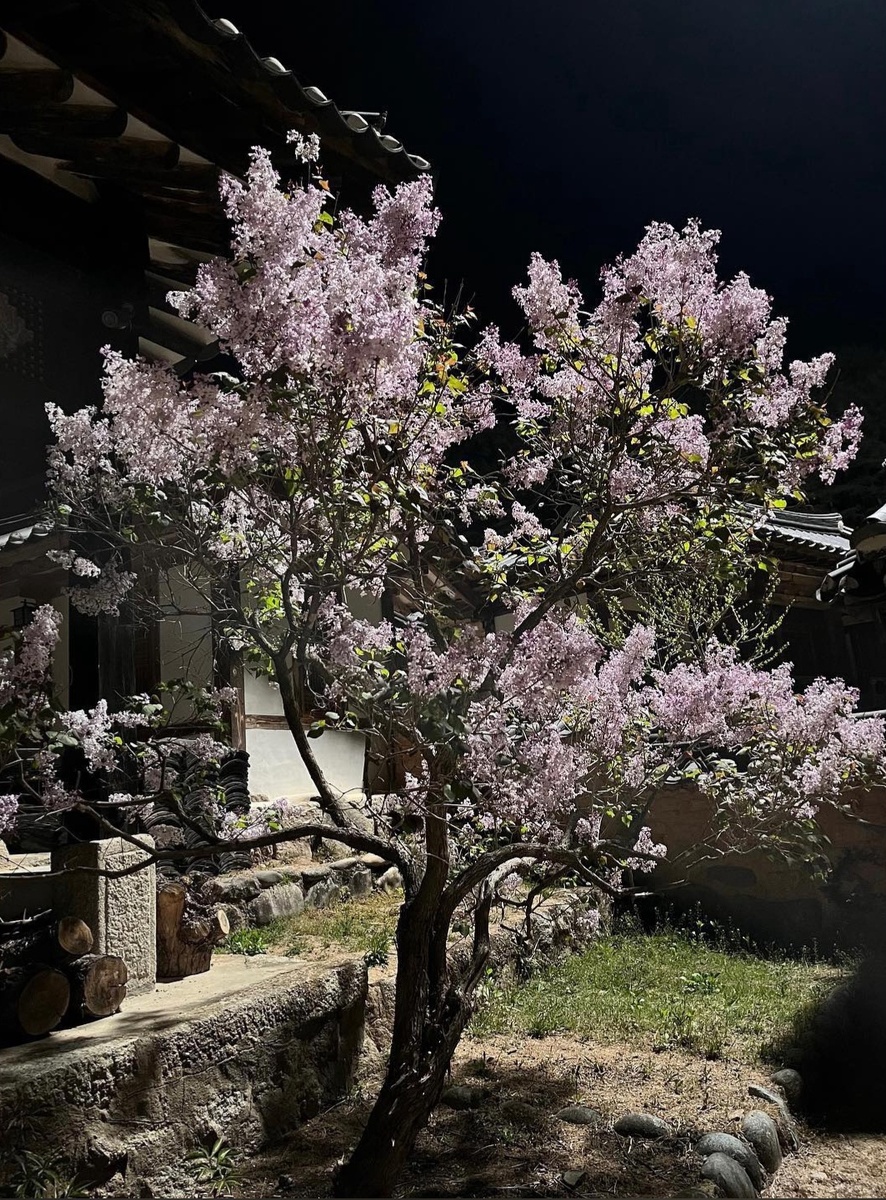 Соцсети Донука 2022 год