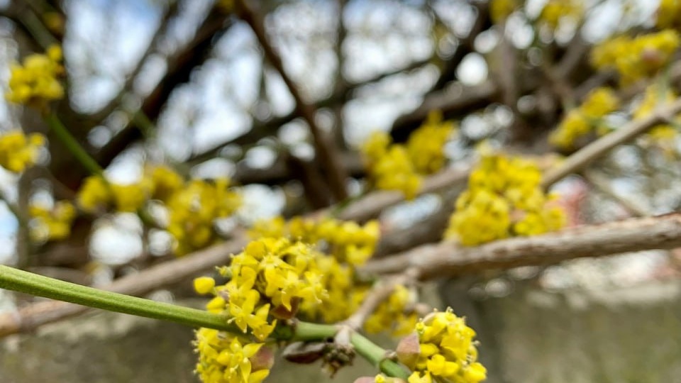 Анапа - настроение весна