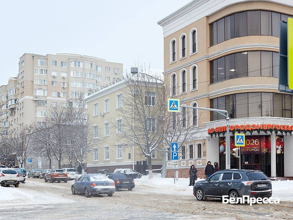     Фото: Елена Журавлёва