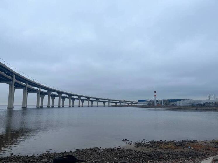     Фото: архив МК в Питере.