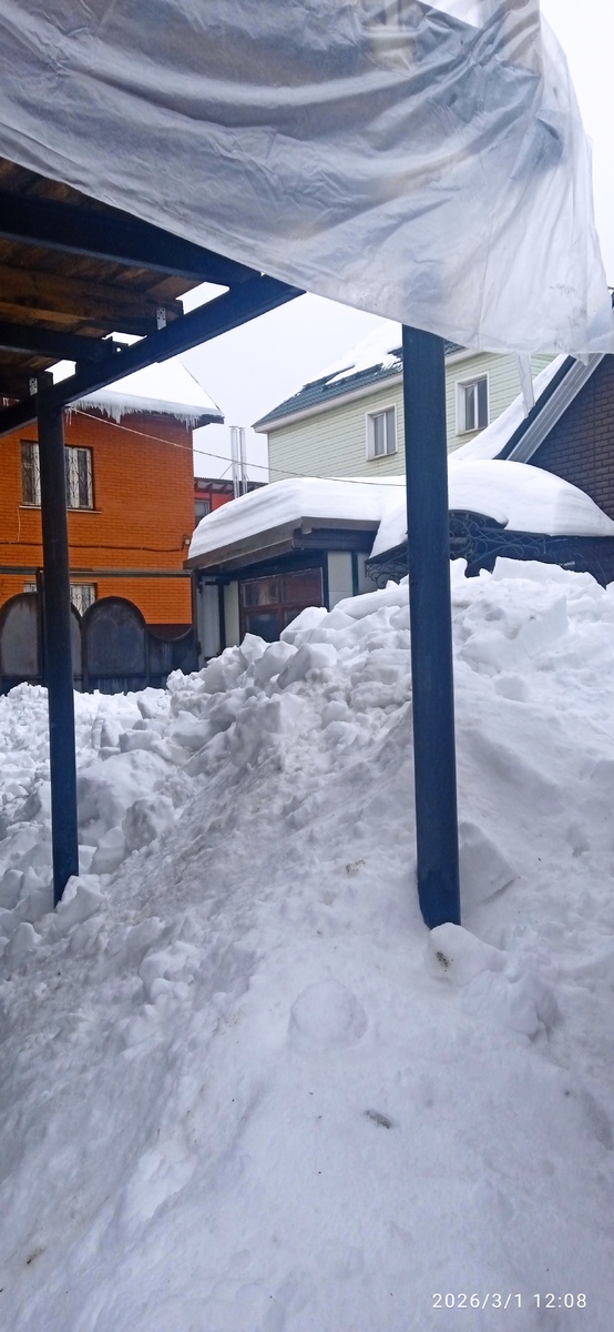 Фото автора.