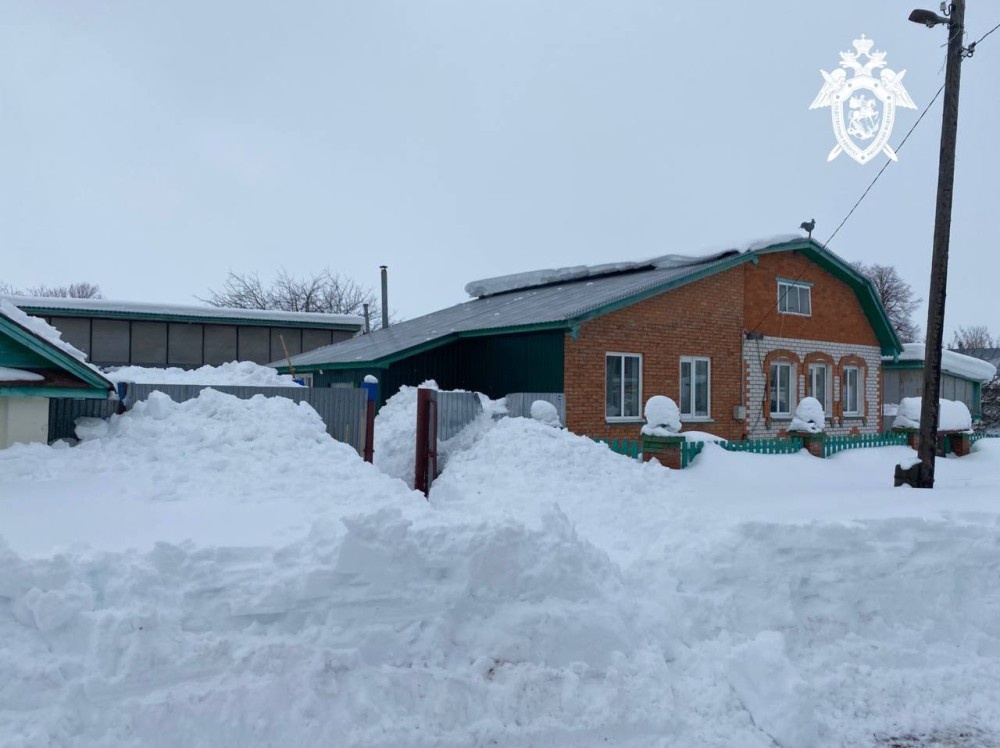    Две женщины в Чувашии погибли под завалами снега