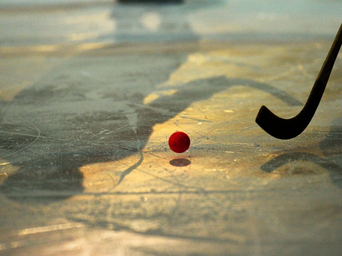    Хоккей с мячом | © РИА Новости / Максим Богодвид