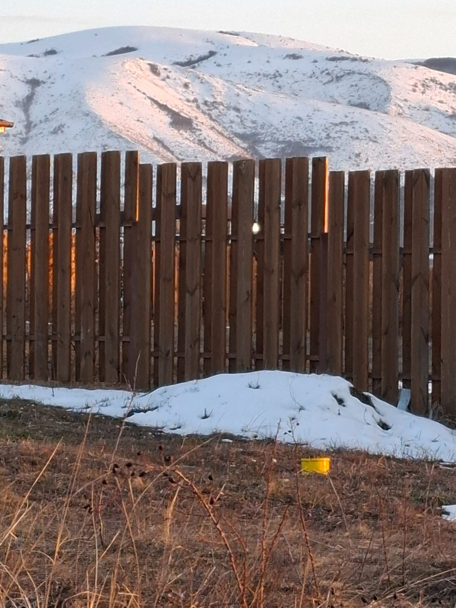 Собственное фото