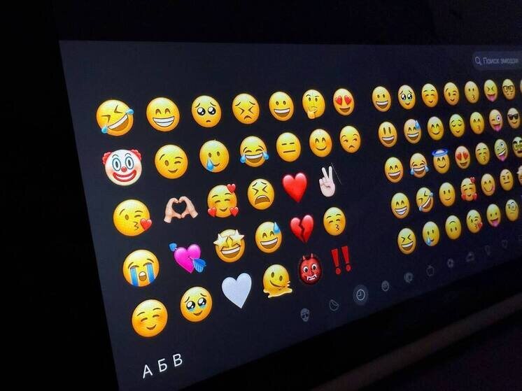     Фото: архив МК в Питере.